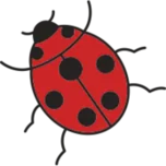 La Coccinelle